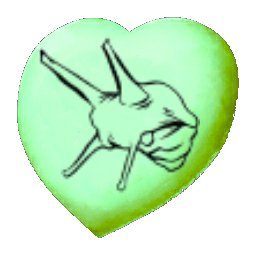 Achatina Chibi